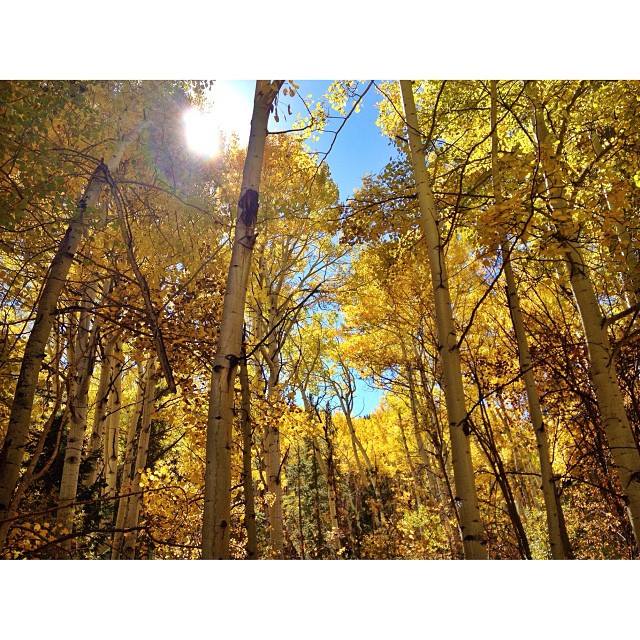 1377149_825949768611_1744786452_n